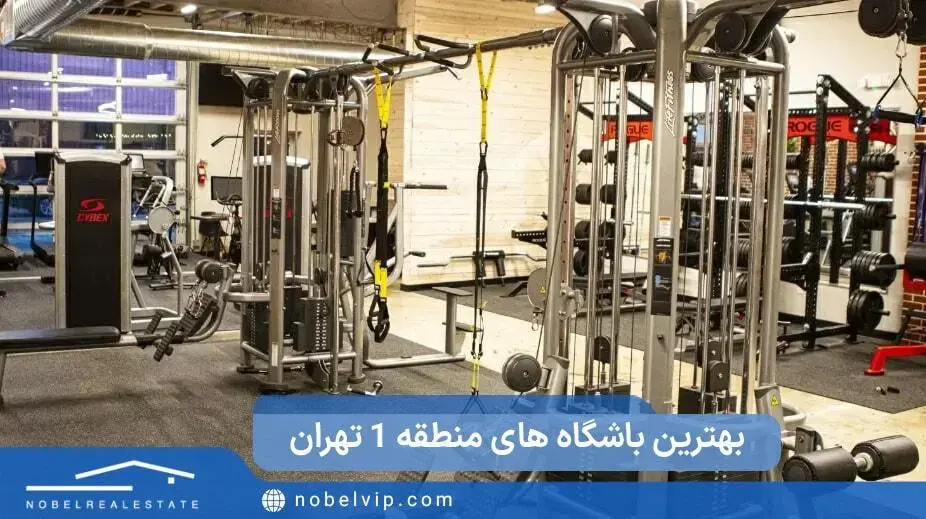 بهترین باشگاه های منطقه 1 تهران